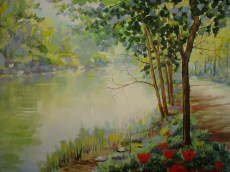 Alberi lungo il Sile